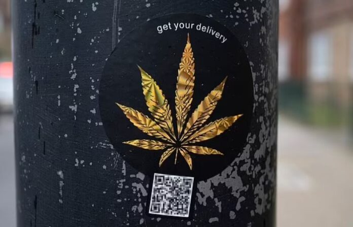 qr code for weed