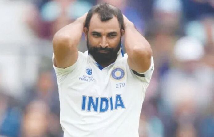 shami (1)