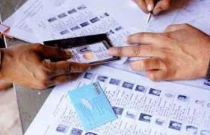 assembly election news
