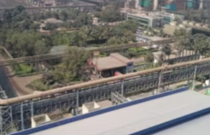 jsw company