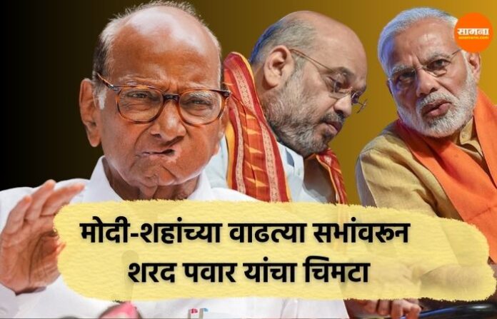 modi shah sharad pawar modi shah sharad pawar