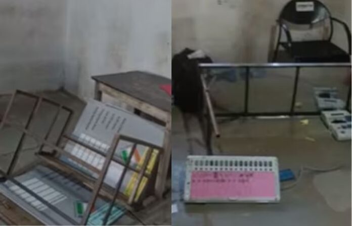Beed Voting