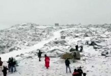 पहलगाम हल्ल्याचा जम्मू-कश्मीरच्या पर्यटनाला फटका, पर्यटकांच्या संख्येत मोठी घट