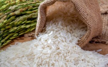 हे करून पहा तांदळात किडे होऊ नये म्हणून