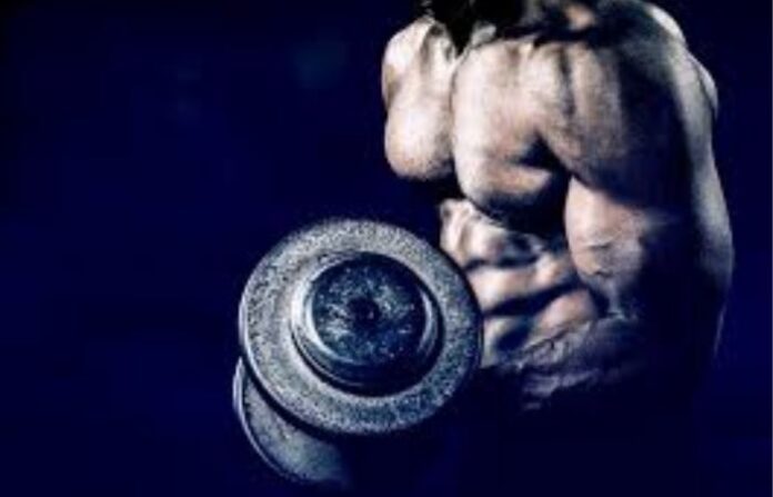 bodybuilding