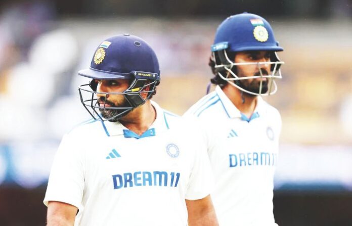 cricket (2)