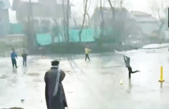 cricket (3)