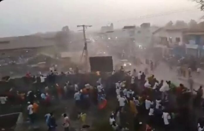 guinea-