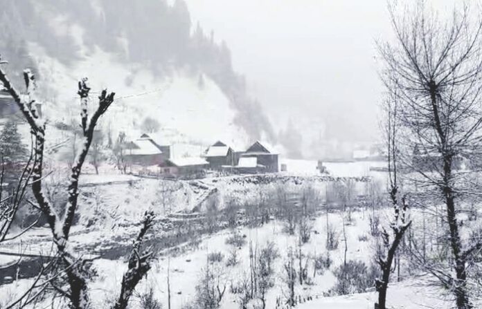 kashmir