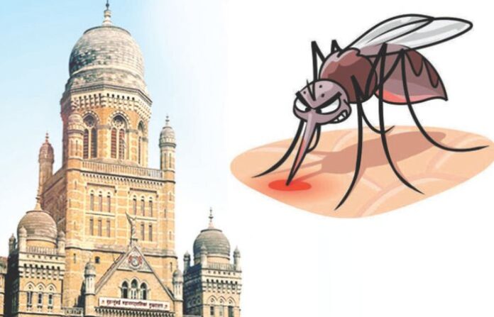 mumbai mahanagarpalika (1)