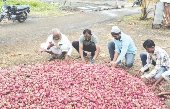 onion