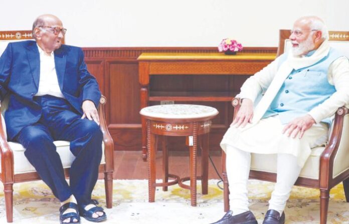 pawar modi