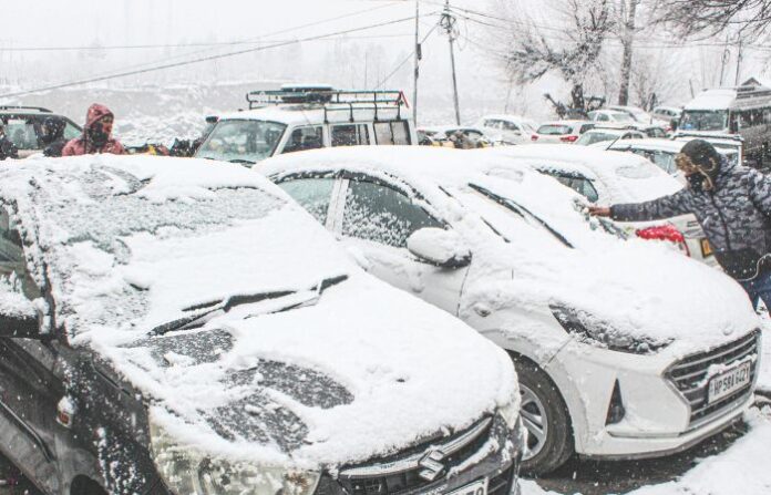shimla