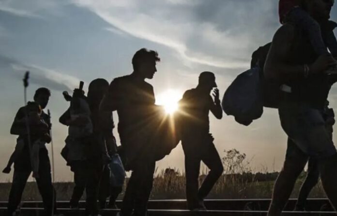 MIGRATION