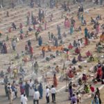 Pongal Sun Sion Koliwada