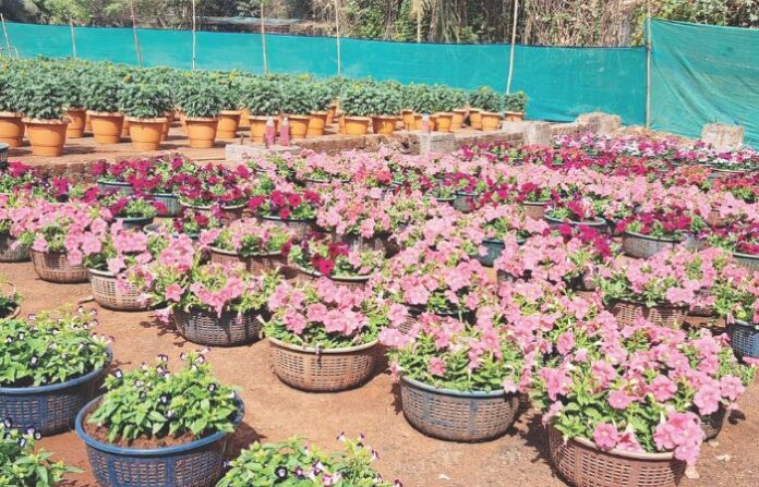 Veermata Jijabai Bhosale Botanical Udyan