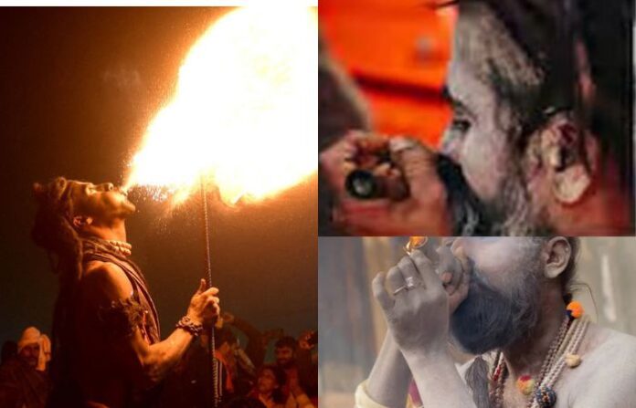 aghori