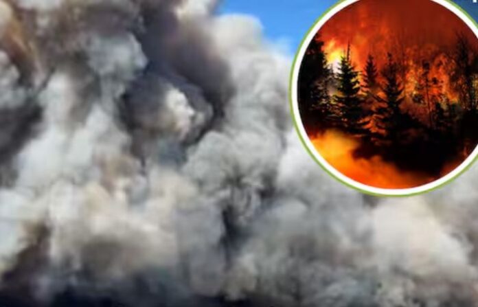 california fire