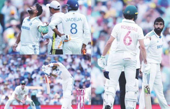 cricket (5)