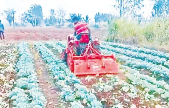 gadhinglaj farmer