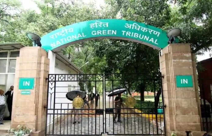 green tribunal