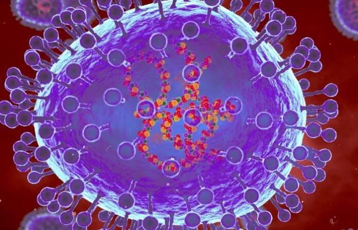 hmpv virus