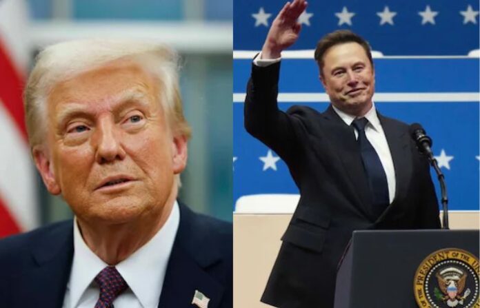 musk trump