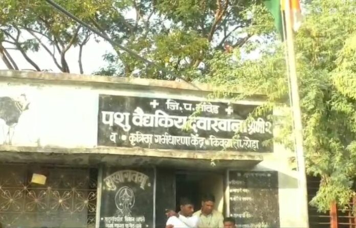 nanded bird flu