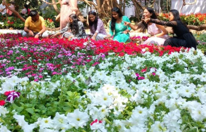 pune flower show 2025