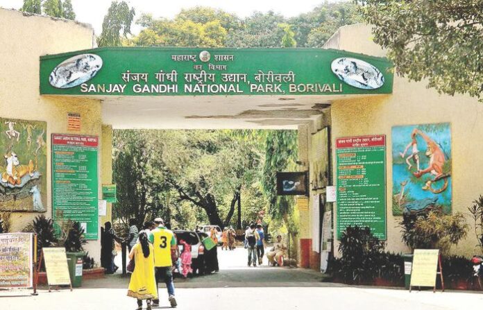 sanjay gandhi national park