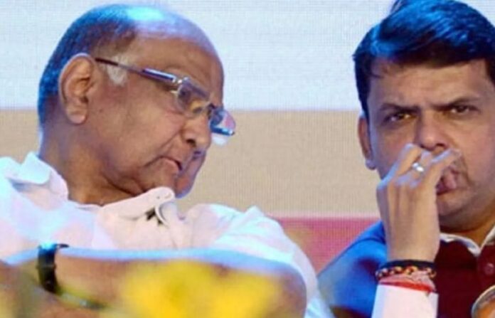 sharad pawar and devendra fadnvis