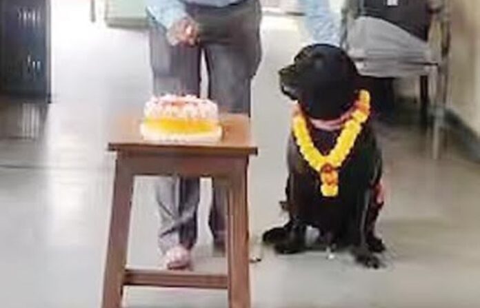 teja