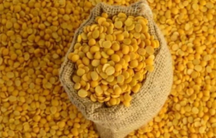 turdal