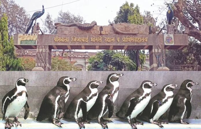 veermata jijabai bhosale udyan and zoo
