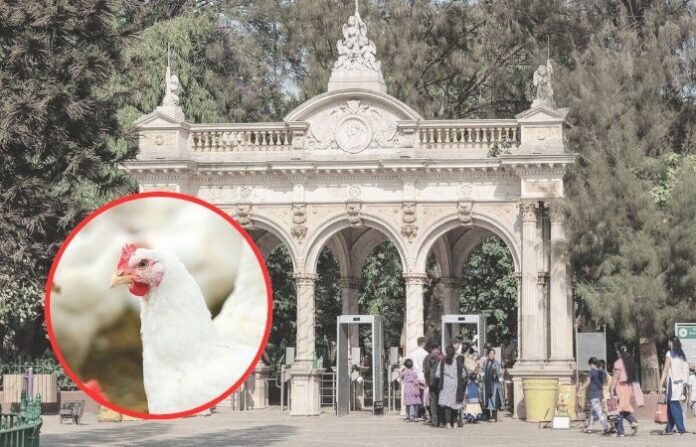 veermata jijabai bhosale zoo mumbai