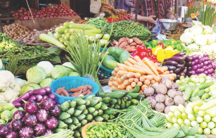 vegetable