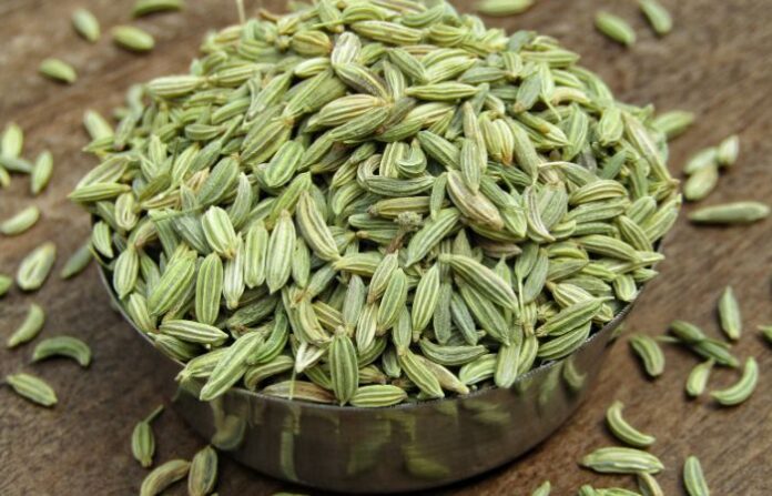 Fennel