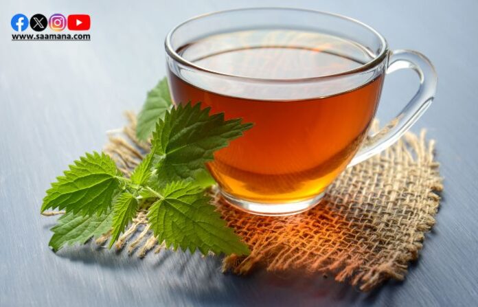 Green Tea 3