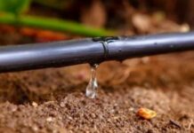 सिंचन महामंडळ कर्मचाऱ्यांच्या वेतनावर गंडांतर, स्वनिधीतून वेतन देण्याच्या धोरणाला संघटनांचा विरोध; आंदोलनाचा इशारा