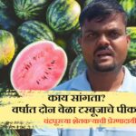 Watermelon Farmer Chandrapur