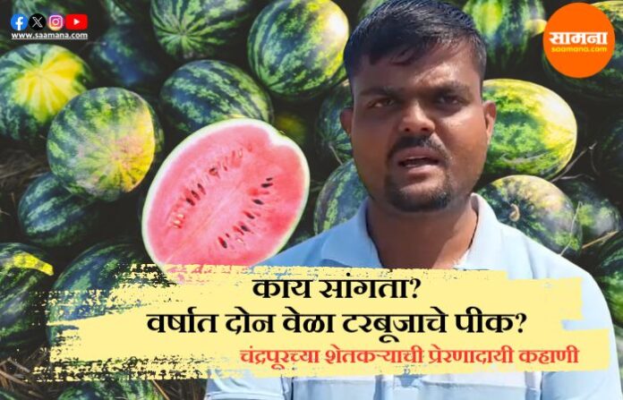 Watermelon Farmer Chandrapur Watermelon Farmer Chandrapur