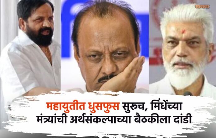 ajit pawar new (1)