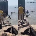 बँडस्टँडच्या समुद्रात जोडपे पाण्यात वाहून गेले, स्थानिकांच्या सतर्कतेमुळे पुढील अनर्थ टळला