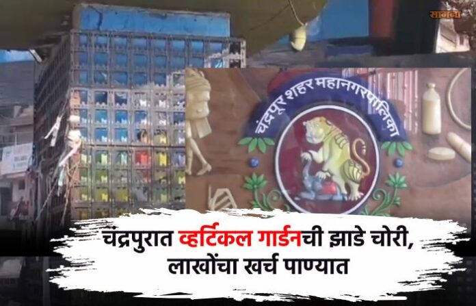 chandrapur vertical garden chandrapur vertical garden