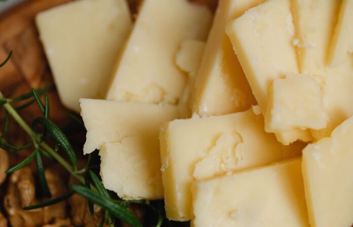 cheese