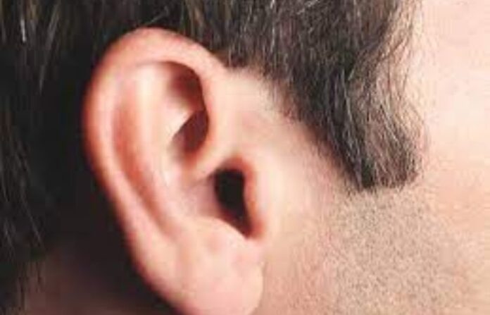 ear