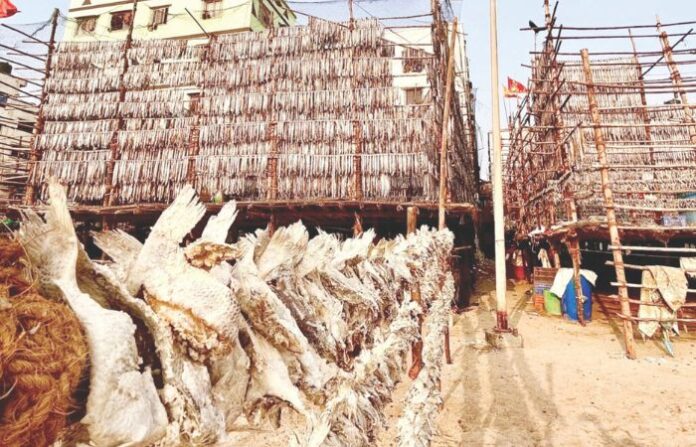 juhu koliwada