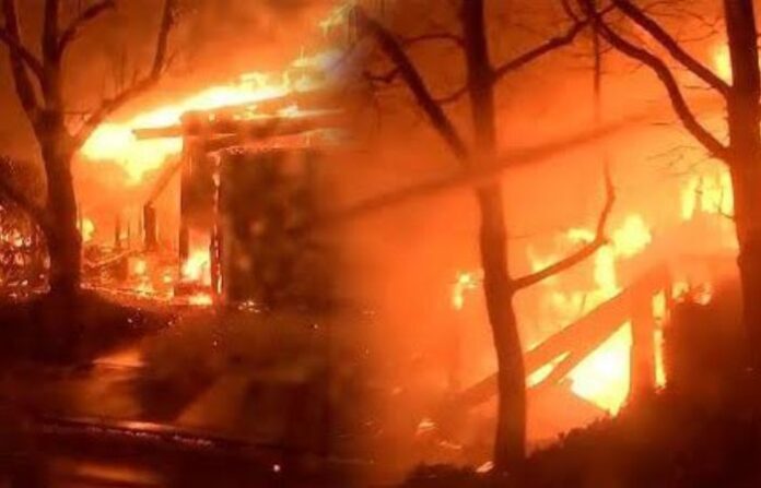 jungle fire
