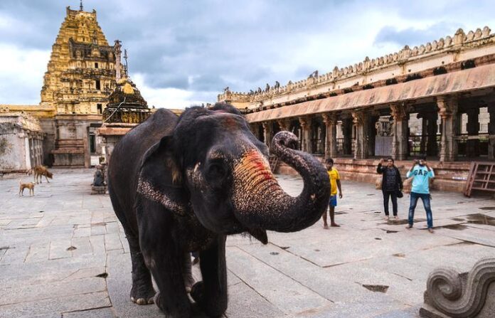 kerala incident