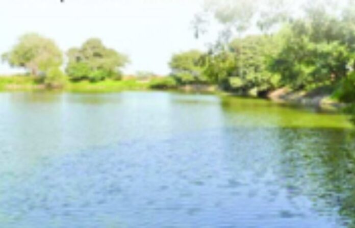 pond